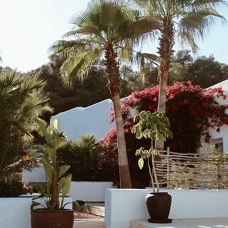 Pure House Ibiza Hotel