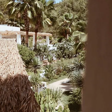 Pure House Ibiza