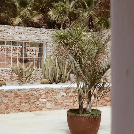 Hotel Pure House Ibiza *