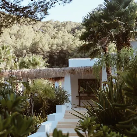Pure House Ibiza