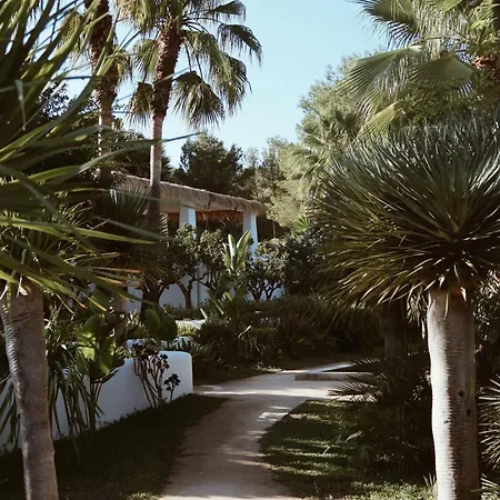Pure House Ibiza Hotel